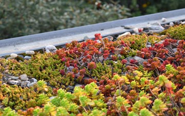 the cost of Burton Latimer green roof installation