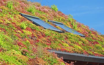 Burton Latimer living roof systems